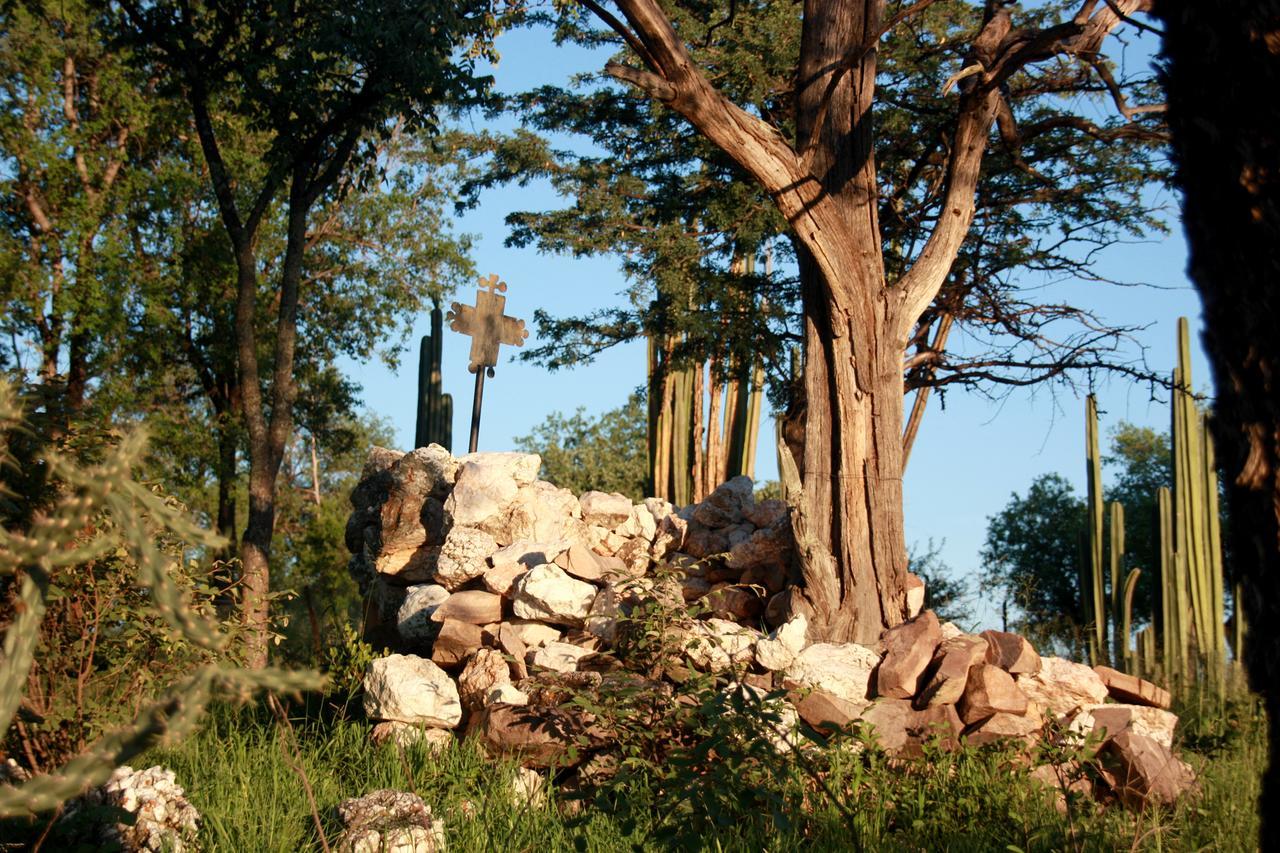 Ghaub Nature Reserve & Farm - One Namibia Grootfontein Exterior foto